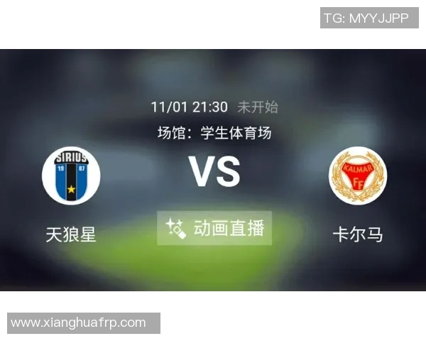 卡尔马与天狼星的精彩对决比分揭晓赛季精彩瞬间回顾